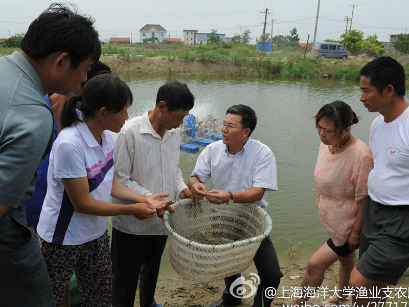 7��28�����Ϻ������W���O�I(y��)�Ƽ�֧�r�����ՈF����|�h�Lɳ�(zh��n)���}���M�пƼ�֧�r�������D��F꠼��gָ��犲�ʿ�����B(y��ng)ֳ���v���~ƌW�B(y��ng)ֳ�ķ�����