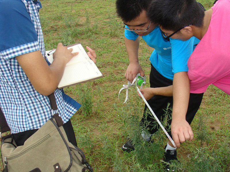 7��19�գ��m�ݴ�W�Gɫ�I�F�������һ�A�ε��{(di��o)�н�(j��ng)򞣬�ٴ�����M�ЬF(xi��n)���о����D��꠆T�����ڜy���_�J�ӷ��ķ�����