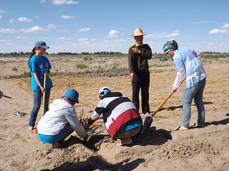 �@�N1.5��Ҋ(ji��n)�������ݸ��ӣ���ɳЧ����������^(gu��)4��5���͕�(hu��)�L(f��ng)�g��������Ҫ�����a(b��)����