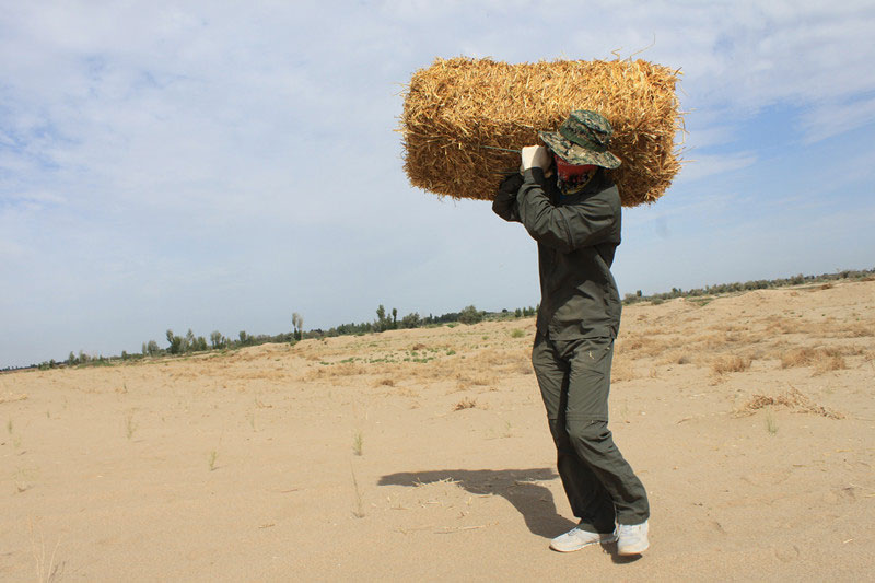 �F(tu��n)�T���i�������������ϳ����������������؟(z��)����