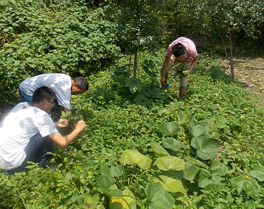 �ڶ�����꠆T���_ʼ�������B(t��i)�r(n��ng)���w��r(n��ng)�����������ժ����