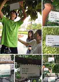 �K���r(n��ng)�WԺ�OӋУ�@ֲ����Ƭ�������K�r(n��ng)�Gɫ���}