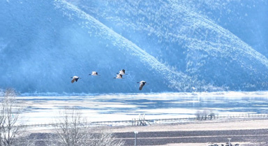 云南普達(dá)措冬日限定美景已上線