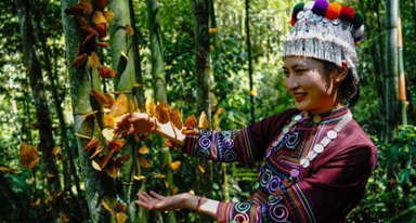 生態(tài)奇觀：雲(yún)南金平現(xiàn)“蝶瀑”景象